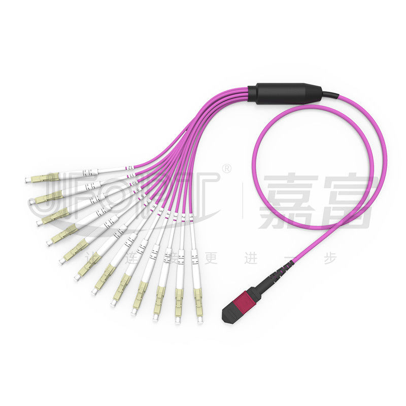 MPO - LC Breakout Patch Cord 2.0mm Fanout LC DX مع مقطع MM القياسي حلقة الخسارة