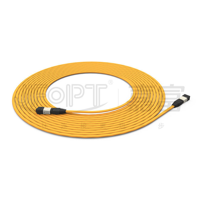 كابل الجذع المقاوم للنار 12-Core Multimode 50/125 OFNR / OFNP