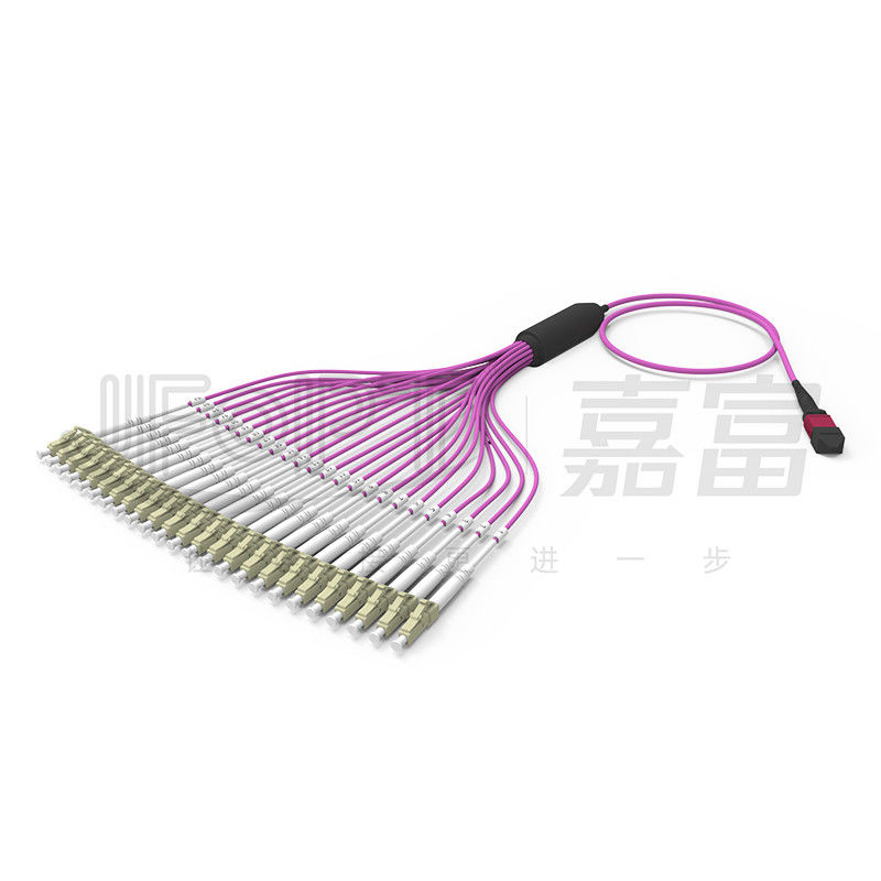 كابل الألياف المتعددة الوسائط OM4 24-Core MPO إلى LC LSZH لمركز البيانات عالي الكثافة