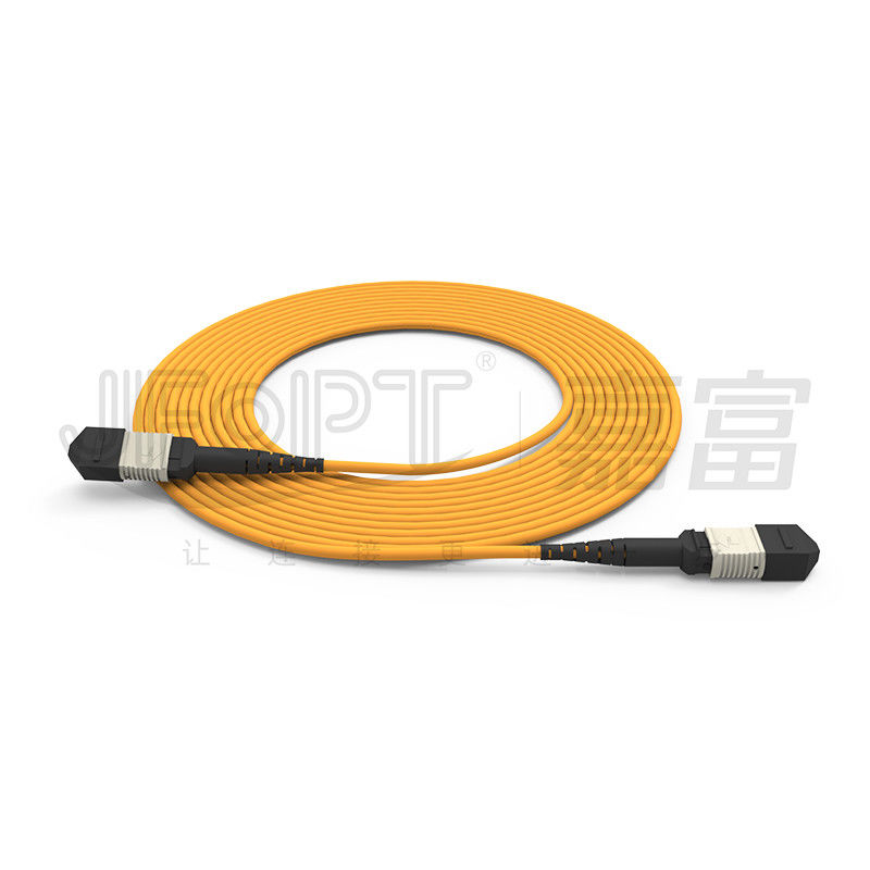 850nm Multimode Low Loss Ferrule MPO كابل الجذع متعدد النواة كابل التصحيح بالألياف البصرية